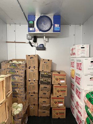 Gallery Image 12