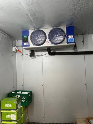 Gallery Image 10